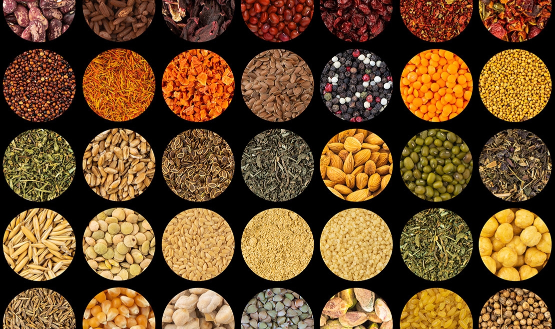 Grains, Cereals & Legumes