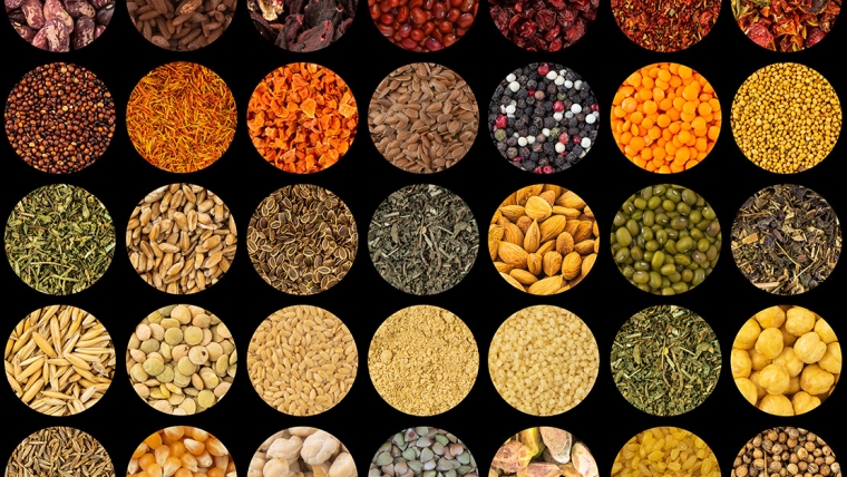 Grains, Cereals & Legumes